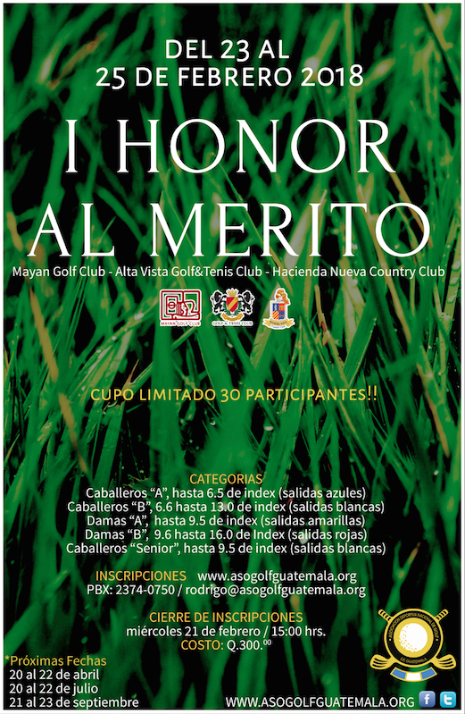 Afiche I Honor al Merito.png